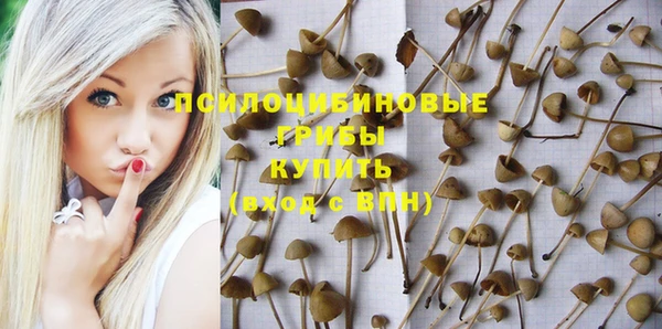 мдпв Алзамай