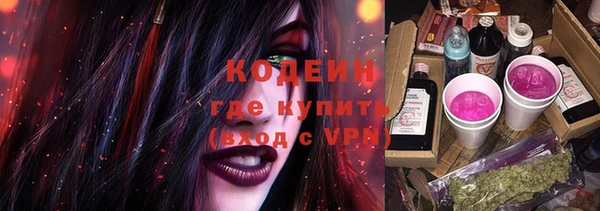ГАЛЛЮЦИНОГЕННЫЕ ГРИБЫ Алексеевка